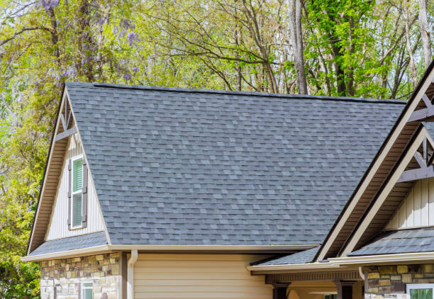 Best Skylight Installation and Repair  in Springfield, TN